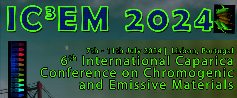Dr. Duarte attends the ICEM 2024 conference in Portugal